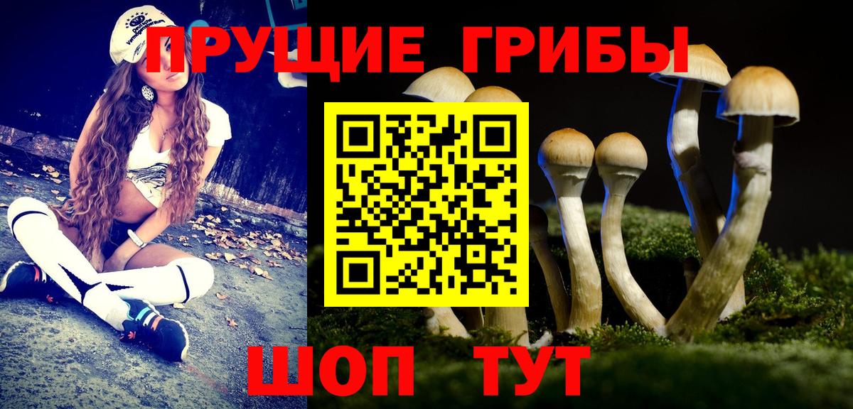Псилоцибиновые грибы мухоморы Ковров