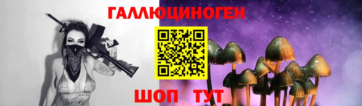 Ковров  Псилоцибиновые грибы прущие грибы  Галлюциногенные грибы ЛСД  Вход с VPN 